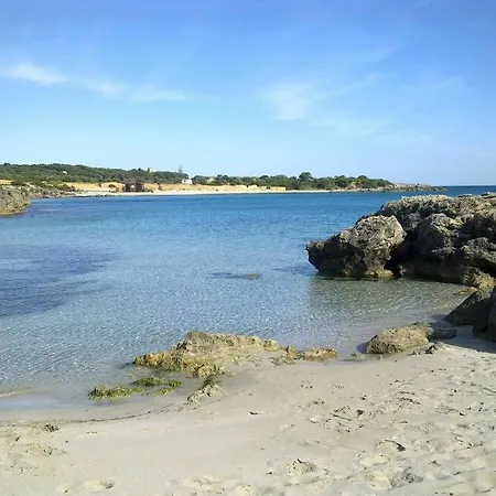 Il Carrubo *