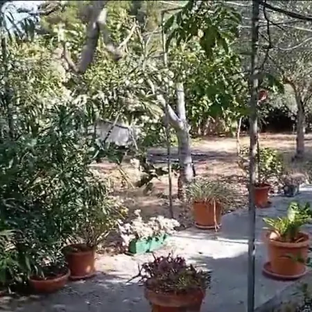 Il Carrubo