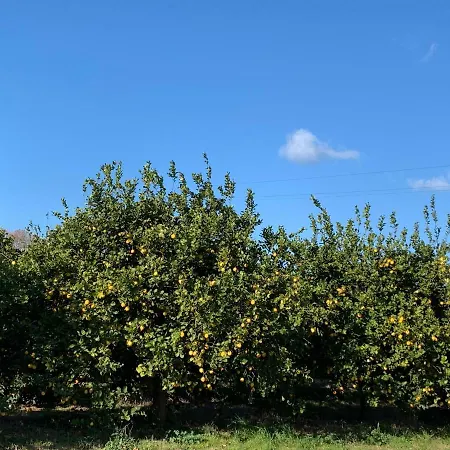 Casa Vacanze בית נופש