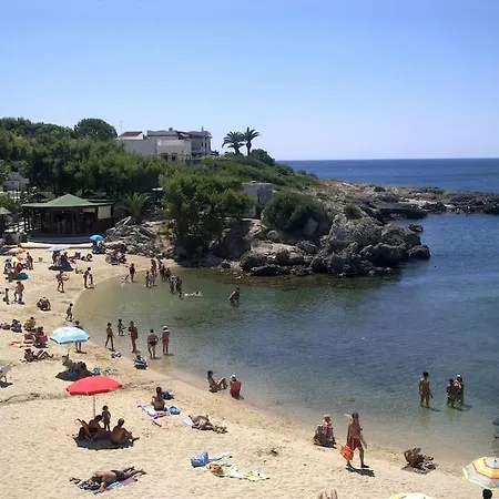 Il Carrubo
